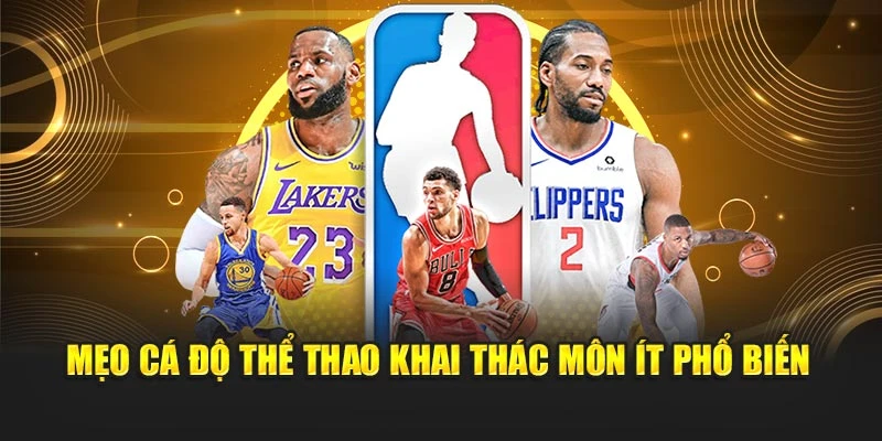 Mẹo cá độ thể thao khai thác môn ít phổ biến